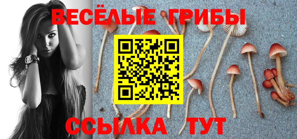 Псилоцибиновые грибы мухоморы Вятские Поляны