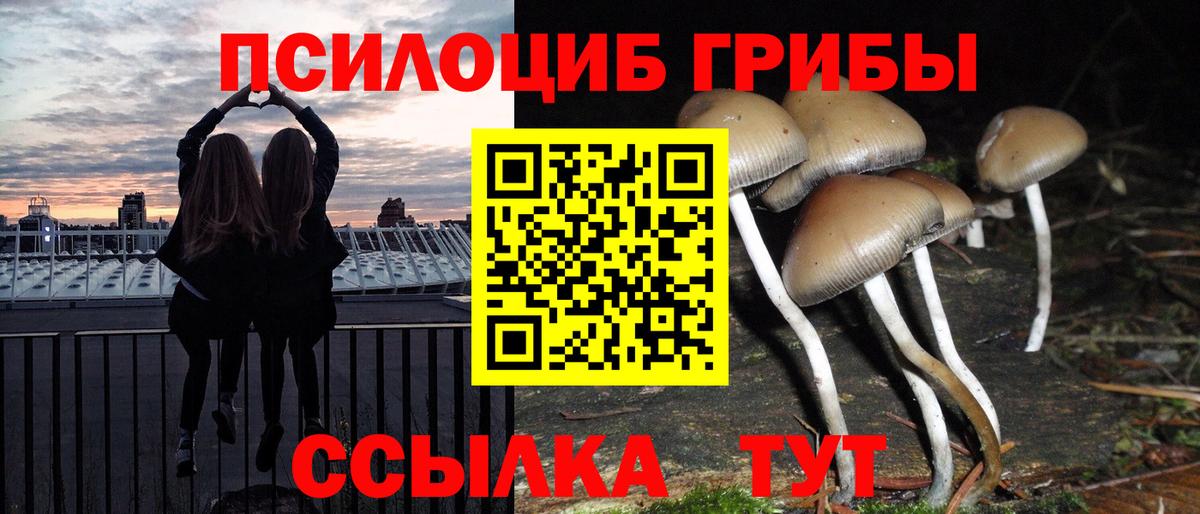Галлюциногенные грибы MAGIC MUSHROOMS  Галлюциногенные грибы Psilocybine cubensis  Вятские Поляны  Вход с VPN 